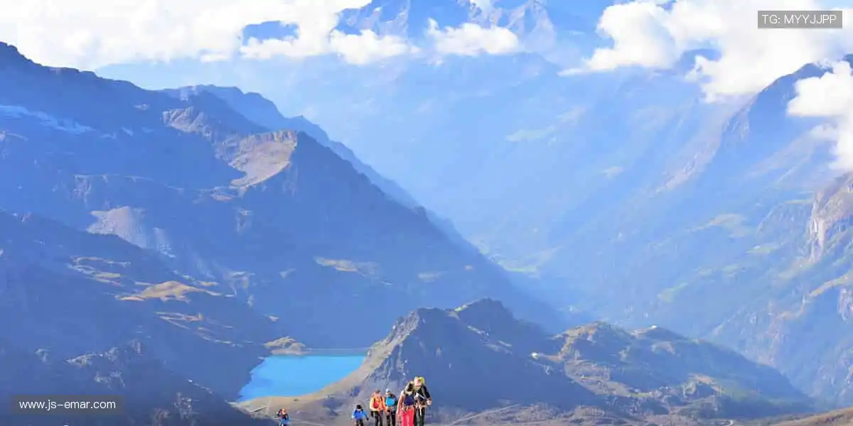 📱 指尖轻点，全球赛事实时掌控！🎥